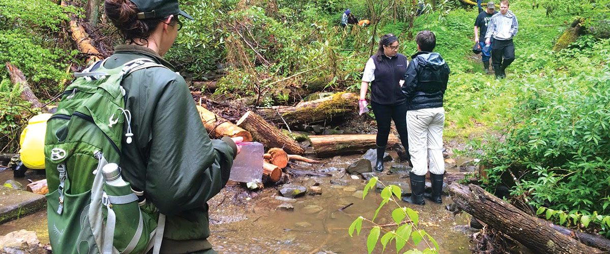 Students in GEOG 200 collecting data at the Great Smoky Mountain NP as part of a long-term study at the park