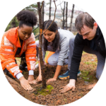 Three UT students plant a tree in the rain.