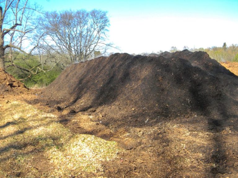 Resized Compost the pile
